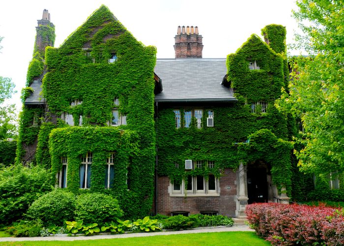 Casa Campestre en Puntarenas